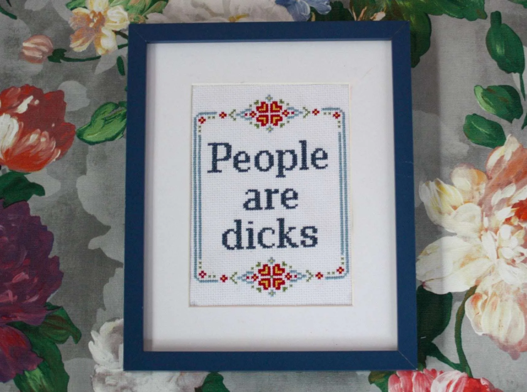 People Are Dicks- Cross Stitch Kit And Pattern