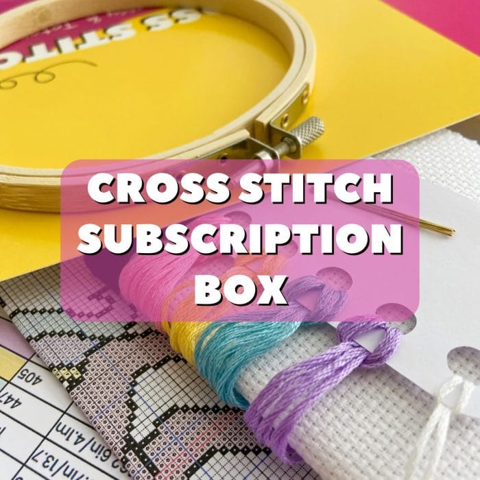 Cross Stitch Subscription Curious Twist